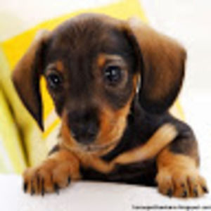 Meet your Posher, Beatriz